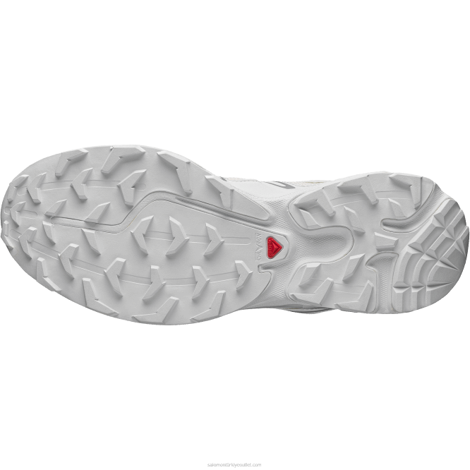 SalomonLF4H102 erkek spor ayakkabı - xt-6 expanse vanilyalı buz/beyaz/alaşım