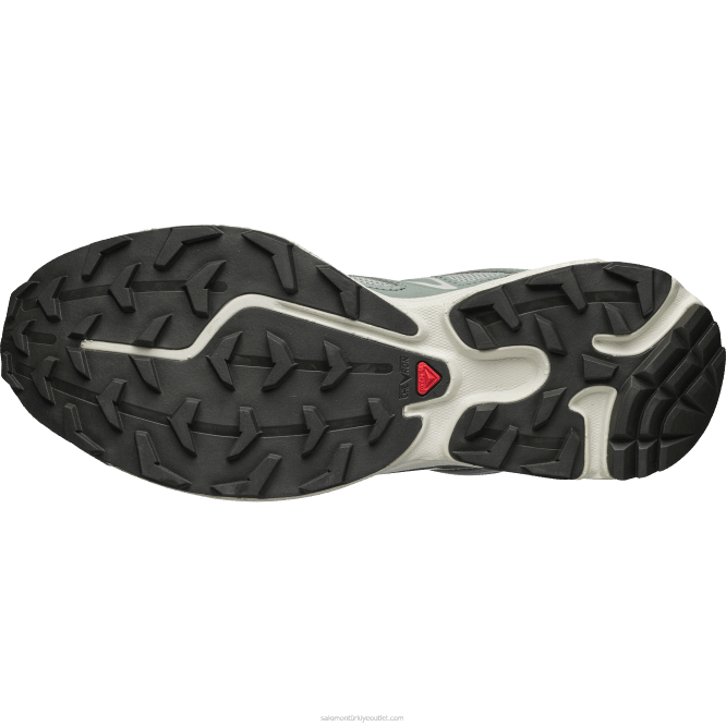 SalomonLF4H103 erkek spor ayakkabı - xt-6 expanse nilüfer yaprağı/defne çelengi/kalaylı