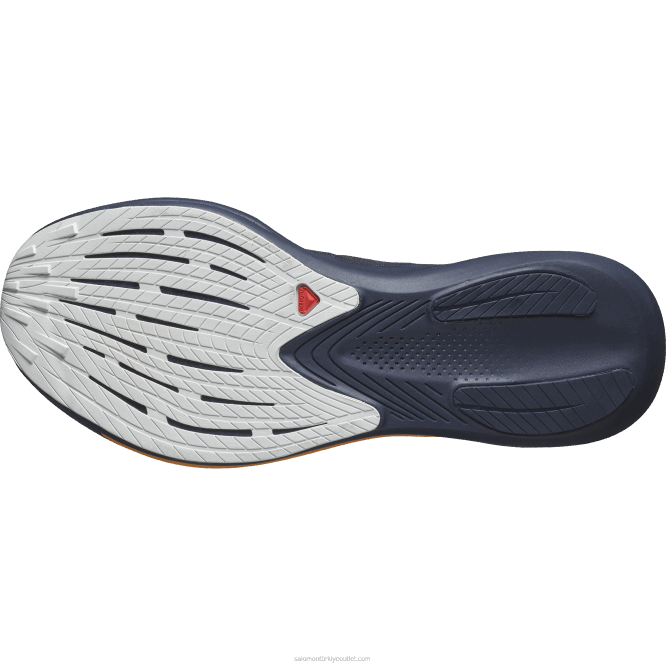 SalomonLF4H1071 erkek koşu ayakkabısı - fantazm ruh hali çivit mavisi/gece gökyüzü/ay kayası