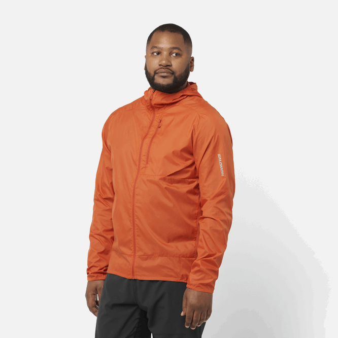 yanmış aşı boyası