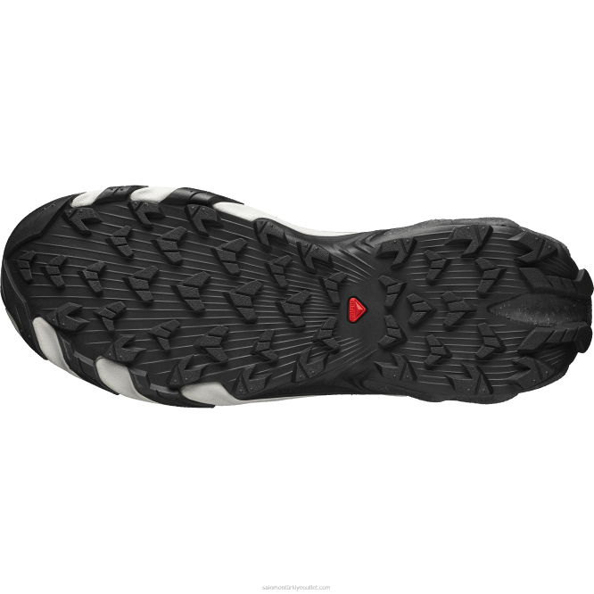 SalomonLF4H114 erkek spor ayakkabı - speedverse prg gümüş/don grisi/ay taşı