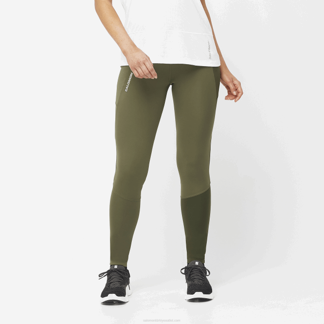 üzüm yaprağı/orman gecesi