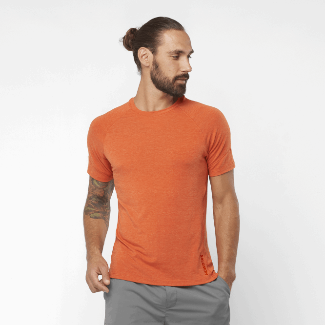 SalomonLF4H1199 kısa kollu erkek tişörtü - runlife yanmış aşı boyası/funda