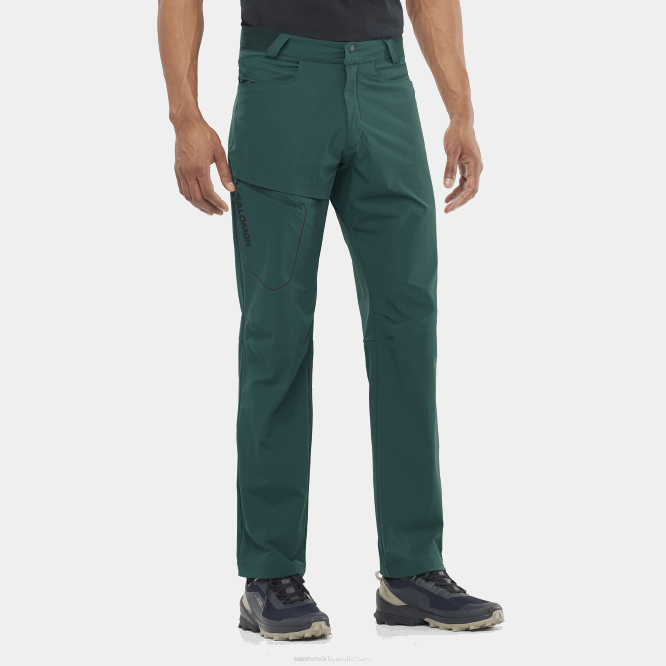 SalomonLF4H1202 erkek pantolonu - yolcu kızılçam çamı