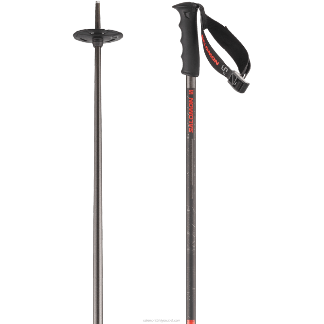 SalomonLF4H1251 erkekler alp kutupları - arktik s3 xl gri