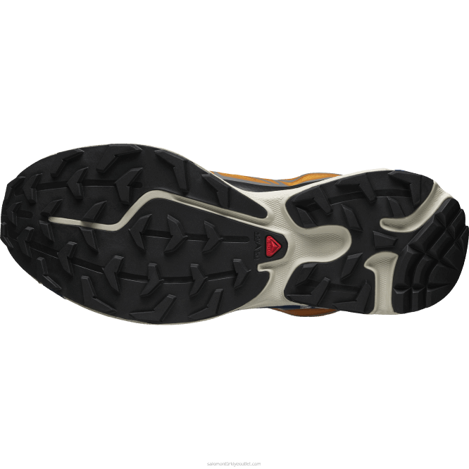 SalomonLF4H127 erkek spor ayakkabı - xt-6 gore-tex yardımcı programı marmelat/siyah/lacivert şakayık
