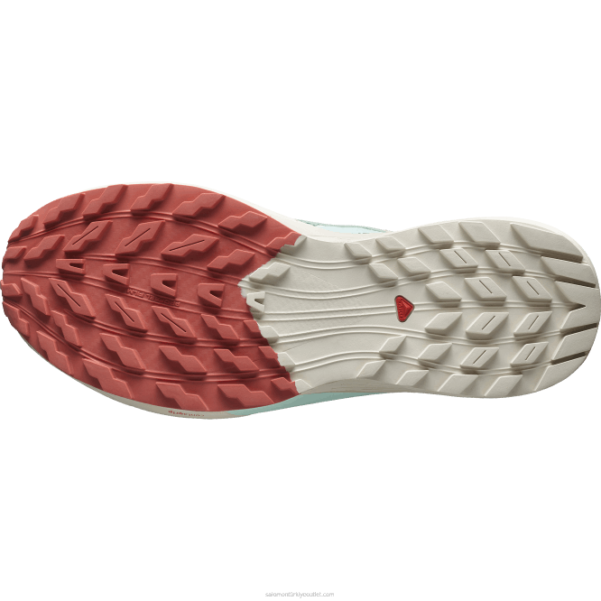 SalomonLF4H1433 erkek patika koşu ayakkabısı - sense ride 5 nilüfer yaprağı/yağmurlu gün/ağartılmış su