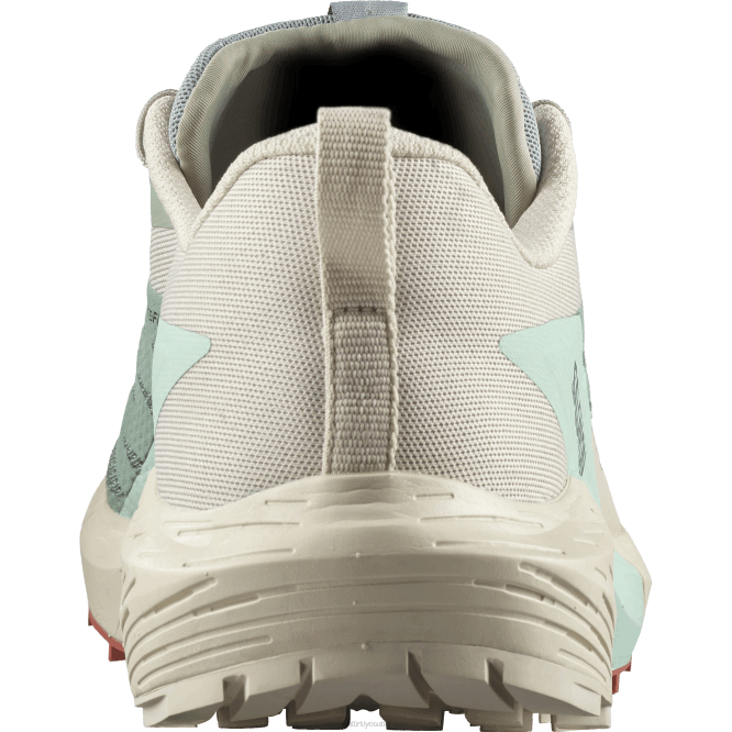 SalomonLF4H1433 erkek patika koşu ayakkabısı - sense ride 5 nilüfer yaprağı/yağmurlu gün/ağartılmış su