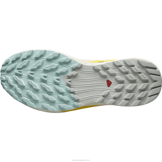 SalomonLF4H1435 erkek patika koşu ayakkabısı - sense ride 5 yağmurlu gün/acı sos/frezya