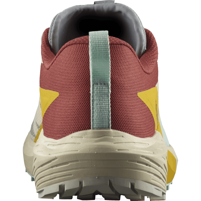 SalomonLF4H1435 erkek patika koşu ayakkabısı - sense ride 5 yağmurlu gün/acı sos/frezya