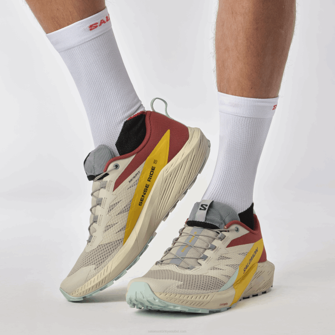 SalomonLF4H1435 erkek patika koşu ayakkabısı - sense ride 5 yağmurlu gün/acı sos/frezya