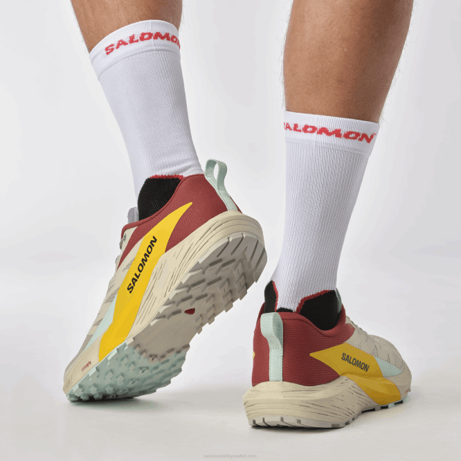 SalomonLF4H1435 erkek patika koşu ayakkabısı - sense ride 5 yağmurlu gün/acı sos/frezya