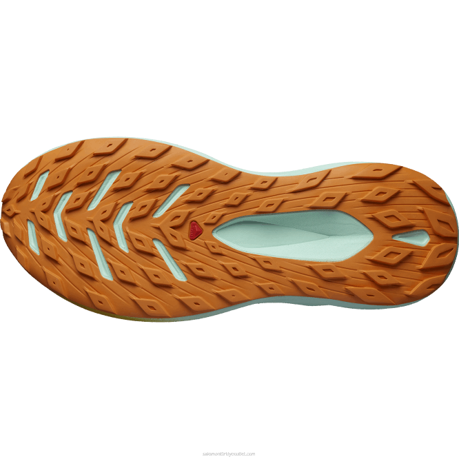 SalomonLF4H1446 erkek arazi koşu ayakkabısı - glide max tr ağartılmış kum/yucca/turuncu biber