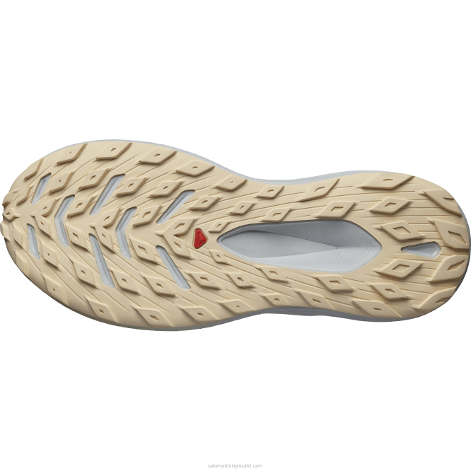 SalomonLF4H1449 erkek arazi koşu ayakkabısı - glide max tr sessiz gölge/inci mavisi/ağartılmış kum