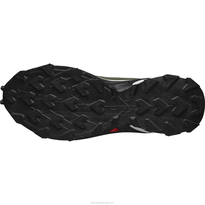 SalomonLF4H1476 erkek patika koşu ayakkabısı - alphacross 4 gore-tex derin liken yeşili/vanilyalı buz/zeytin gecesi