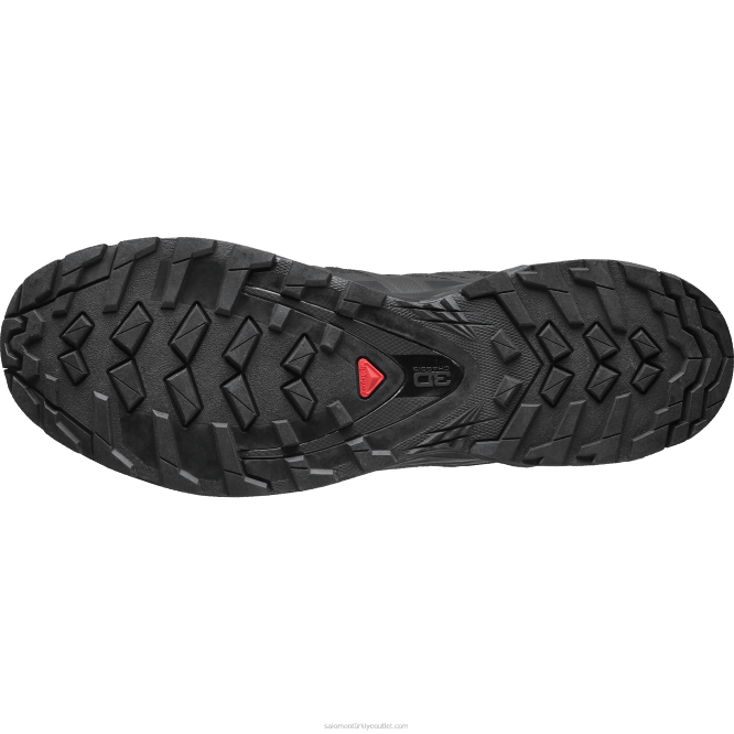 SalomonLF4H1482 erkek arazi koşu ayakkabısı - xa pro 3d v8 gore-tex siyah