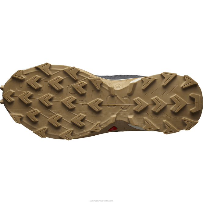 SalomonLF4H1483 erkek patika koşu ayakkabısı - alphacross 4 abanoz/yağmurlu gün/hayalet