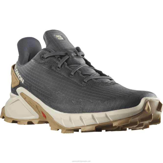 SalomonLF4H1483 erkek patika koşu ayakkabısı - alphacross 4 abanoz/yağmurlu gün/hayalet