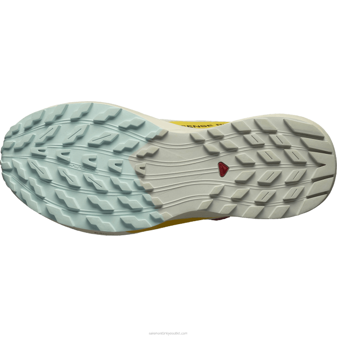 SalomonLF4H1497 Kadın arazi koşu ayakkabısı - sense ride 5 yağmurlu gün/acı sos/frezya