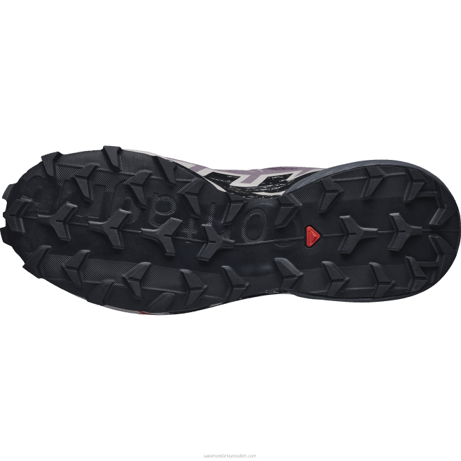 SalomonLF4H1504 Kadın arazi koşu ayakkabısı - speedcross 6 ay manzarası/siyah/gül külü