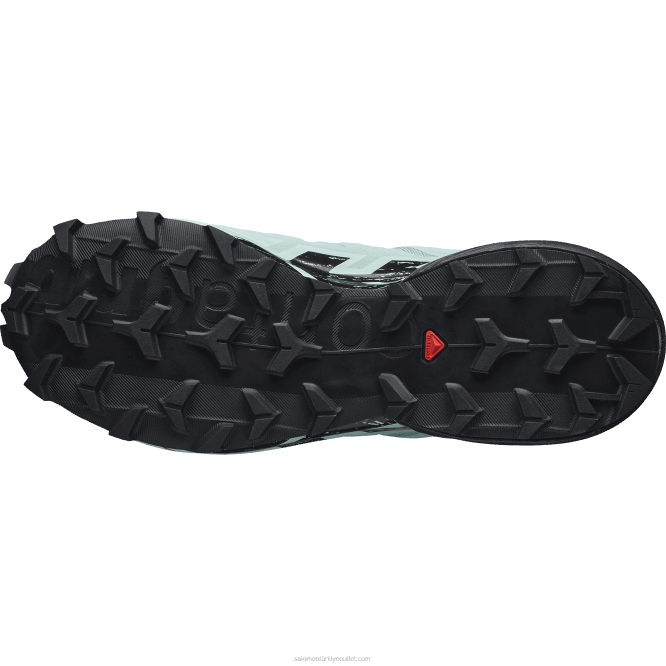 SalomonLF4H1517 Kadın arazi koşu ayakkabısı - speedcross 6 gore-tex akifer/siyah/yucca