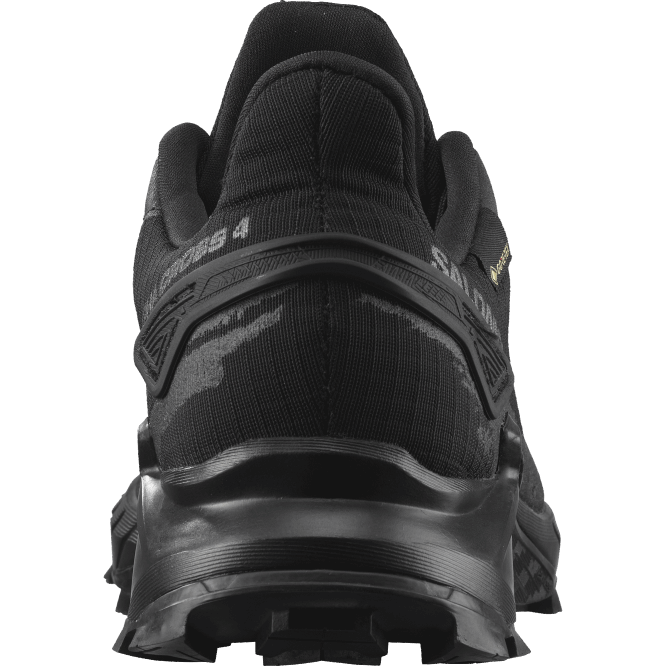 SalomonLF4H1530 kadın koşu ayakkabısı - alphacross 4 gore-tex siyah