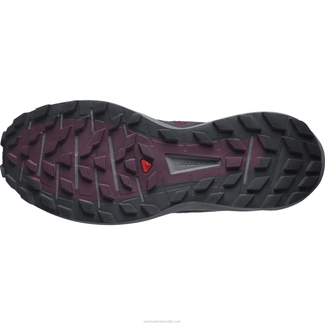SalomonLF4H1538 Kadın arazi koşu ayakkabısı - sense ride 4 şarap tadımı/sessiz gölge/abanoz