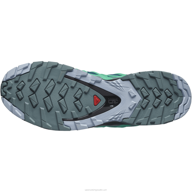 SalomonLF4H1539 Kadın arazi koşu ayakkabısı - xa pro 3d v8 gore-tex lejyon mavisi/asker/nane yaprağı