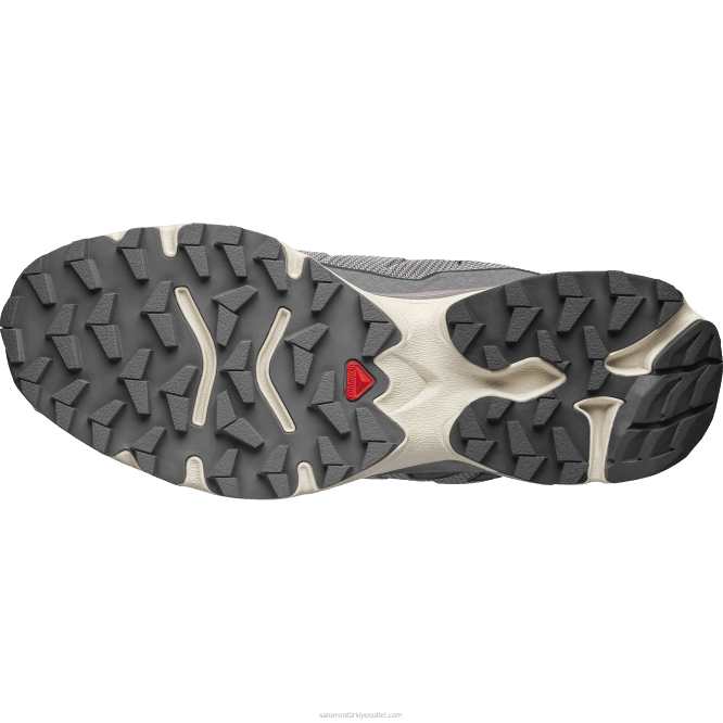 SalomonLF4H154 erkek spor ayakkabı - xt-slate Advanced martı/ay manzarası/kalaylı