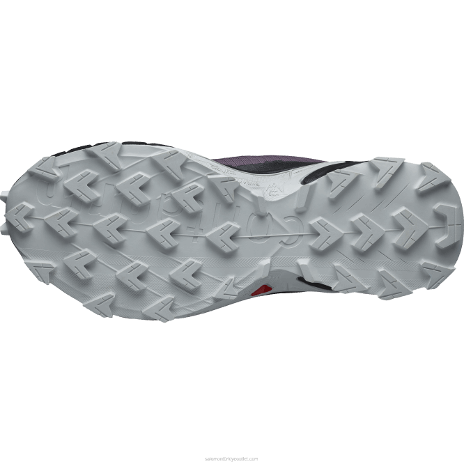 SalomonLF4H1541 kadın koşu ayakkabısı - alphacross 4 ay manzarası/siyah/ay kayası