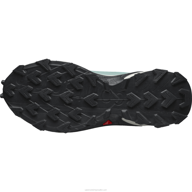 SalomonLF4H1543 Kadın arazi koşu ayakkabısı - supercross 4 akifer/ay taşı/abanoz