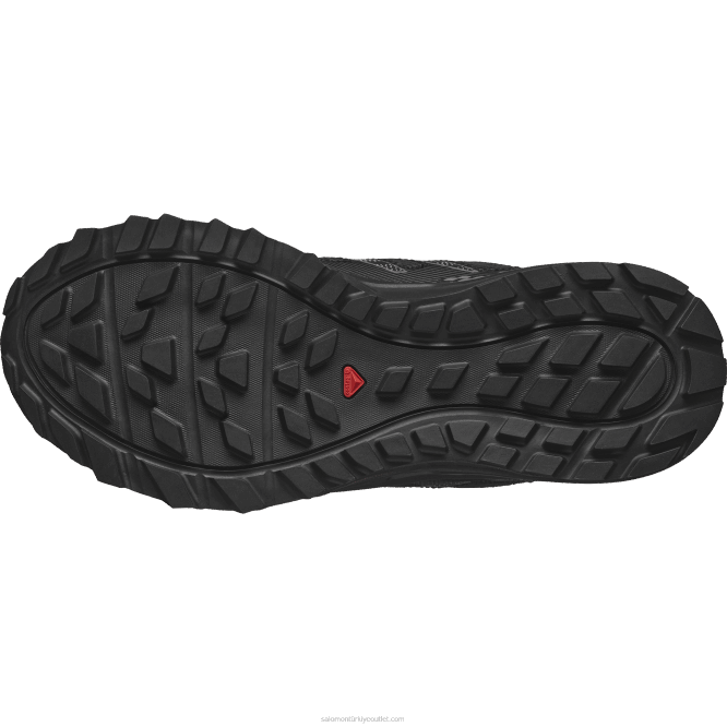 SalomonLF4H1546 kadın koşu ayakkabısı - dolaşmak siyah/erik yavru kedi/martı