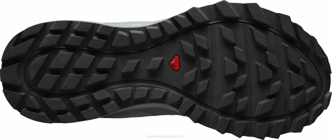SalomonLF4H1547 kadın arazi koşu ayakkabısı - trailster 2 kurşun/fırtınalı hava/buzlu sabah