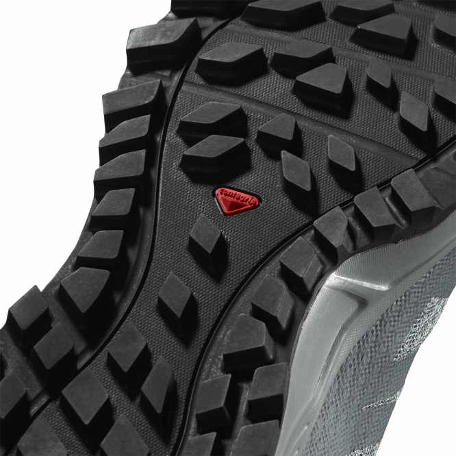 SalomonLF4H1547 kadın arazi koşu ayakkabısı - trailster 2 kurşun/fırtınalı hava/buzlu sabah