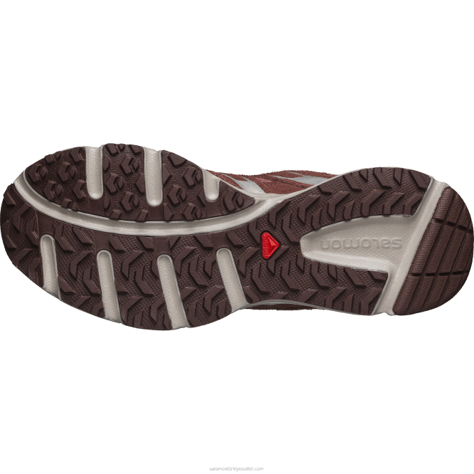 SalomonLF4H166 erkek spor ayakkabı - x-mission 4 süet ay manzarası/yabani zencefil/acı çikolata ltr