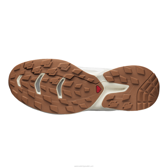 SalomonLF4H195 erkek spor ayakkabı - xt-wings 2 beyaz/ay taşı/vanilyalı buz