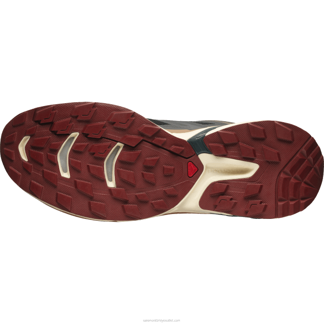 SalomonLF4H197 erkek spor ayakkabı - xt-wings 2 siyah/ağartılmış kum/ponderosa çamı