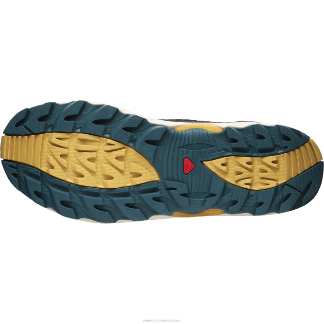 SalomonLF4H198 erkek spor ayakkabı - xa pro 1 orta gore-tex çikolatalı fondan/ok ağacı/siyah