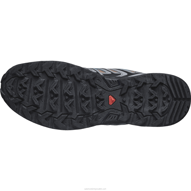 SalomonLF4H20 erkek yürüyüş ayakkabısı - x ultra pioneer aero şekerleme/sessiz gölge/yeşilbaş mavisi