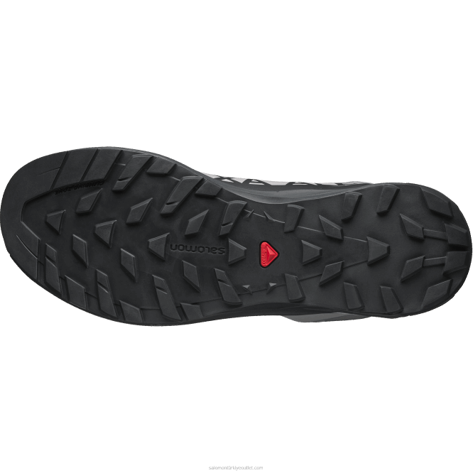 SalomonLF4H201 erkek spor ayakkabı - xa alpine 2 Advanced martı/hayalet/kutup buzu