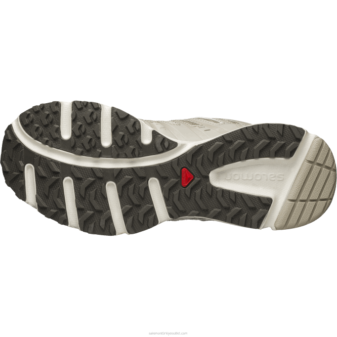 SalomonLF4H205 erkek spor ayakkabı - x-mission 3 majör kahverengi/tüy grisi/vanilyalı buz