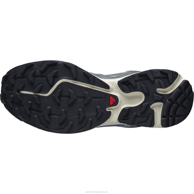 SalomonLF4H218 erkek spor ayakkabı - xt-4 fırtınalı hava/çivit kiraz kuşu/nimbus bulutu