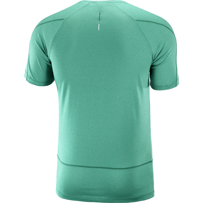 SalomonLF4H241 kısa kollu erkek tişörtü - çapraz koşu pasifik/funda