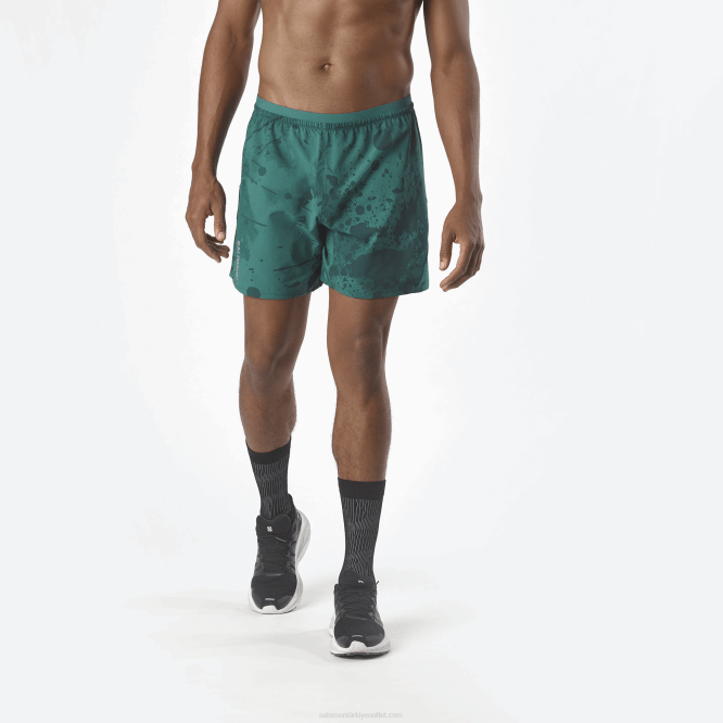 pasifik/ao/ponderosa çamı