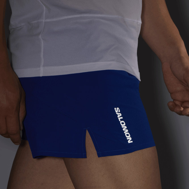 SalomonLF4H269 erkek şortu - çapraz 3 Web\de sörf
