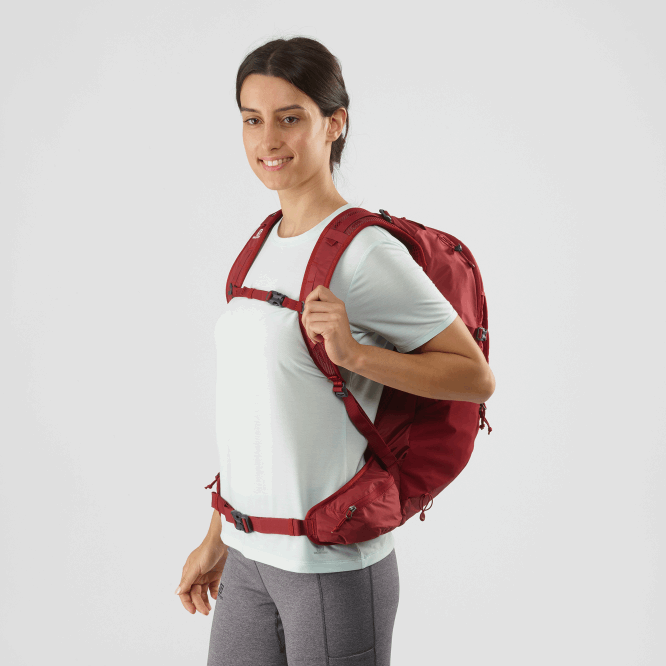 SalomonLF4H367 günlük erkek çantası - öncü 30 acı biber/kırmızı yıldız çiçeği/abanoz