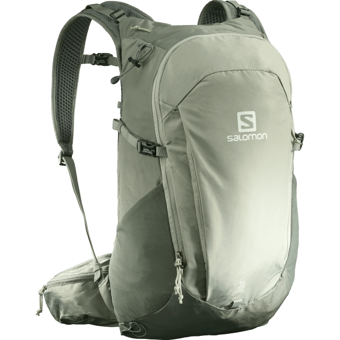 SalomonLF4H368 günlük erkek çantası - öncü 30 dövme demir/sedona adaçayı