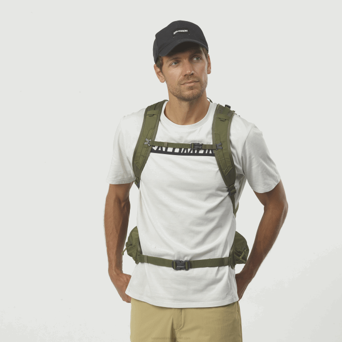 martini zeytin/zeytin gecesi/abanoz