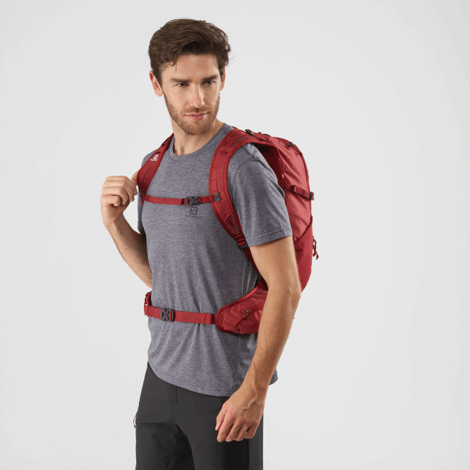 acı biber/kırmızı yıldız çiçek/abanoz