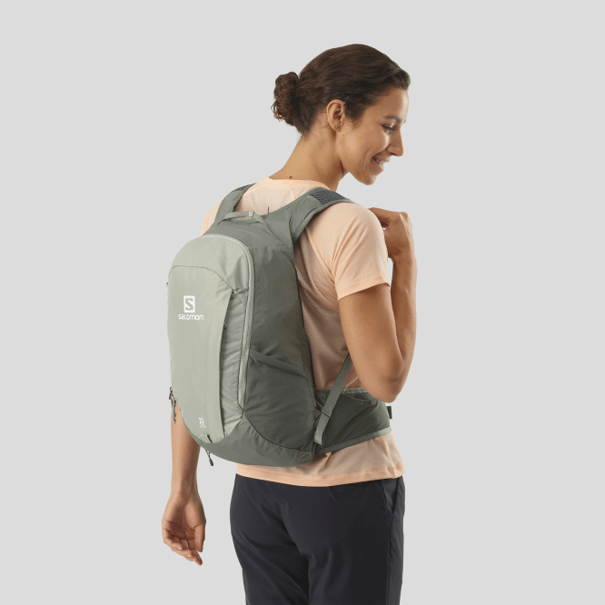 SalomonLF4H373 günlük erkek çantası - öncü 20 dövme demir/sedona adaçayı